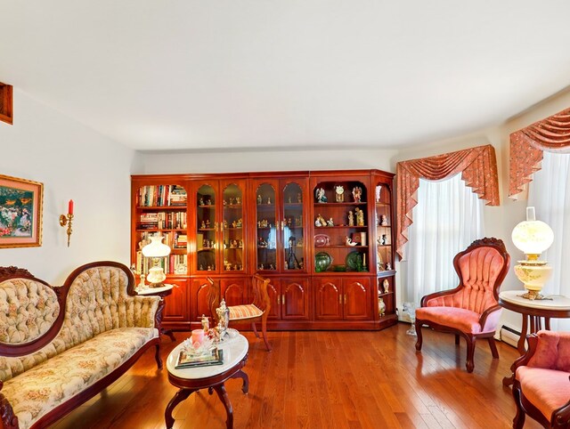 702/704 S Wilbur Ave, Sayre, PA 18840 - living room featuring hardwood / wood-style floors