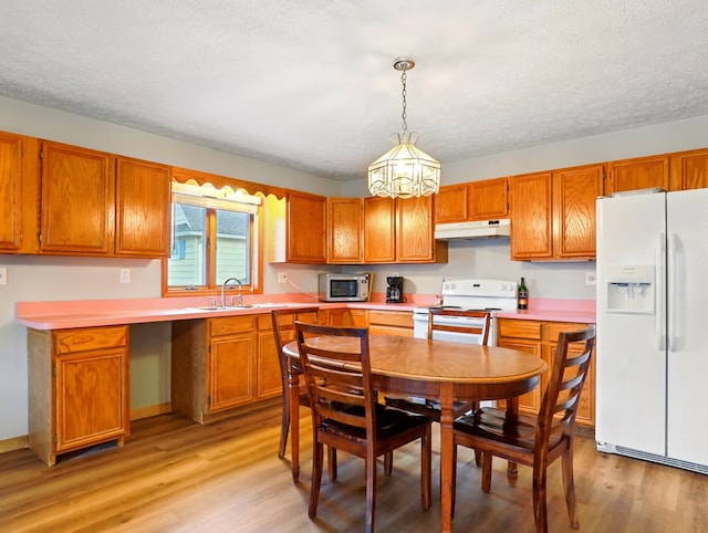 702/704 S Wilbur Ave, Sayre, PA 18840 - kitchen featuring white appliances, under cabinet range hood, a sink, light wood-type flooring, and a textured ceiling