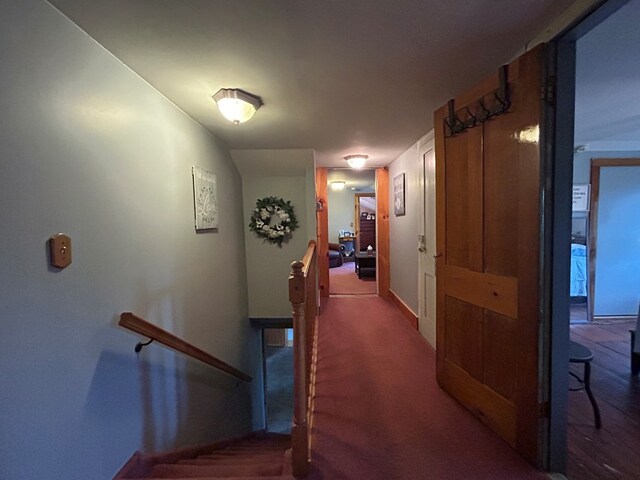 377 Seymour Hill Rd, Mansfield, PA 16933 - photo 49