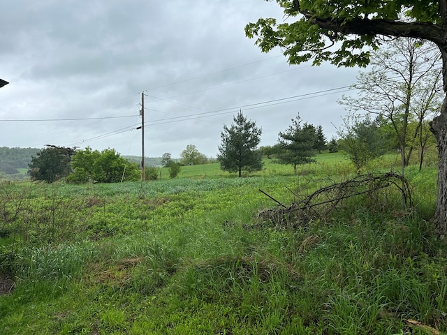 377 Seymour Hill Rd, Mansfield, PA 16933 - photo 87