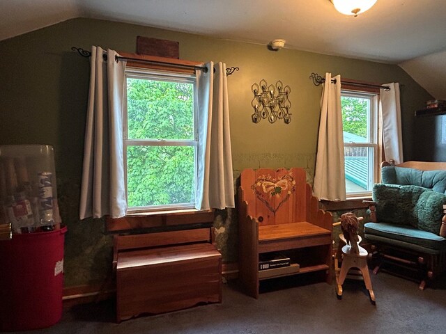 377 Seymour Hill Rd, Mansfield, PA 16933 - photo 48