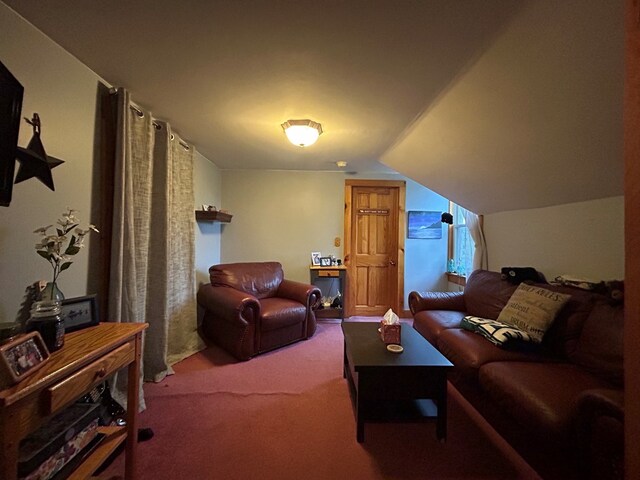 377 Seymour Hill Rd, Mansfield, PA 16933 - photo 59
