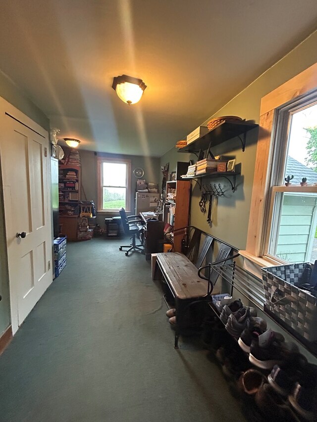 377 Seymour Hill Rd, Mansfield, PA 16933 - photo 43