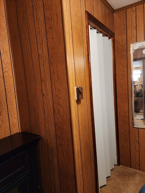 details with carpet, a textured ceiling, and wood walls