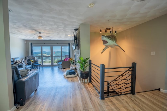 hall featuring light hardwood / wood-style flooring