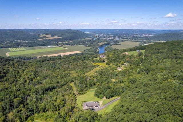 drone / aerial view featuring a rural view and a water view