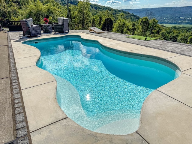 view of swimming pool with a patio area