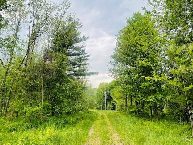 Listing photo 2 for LOT2 Kerrick Hill Rd, Towanda PA 18848