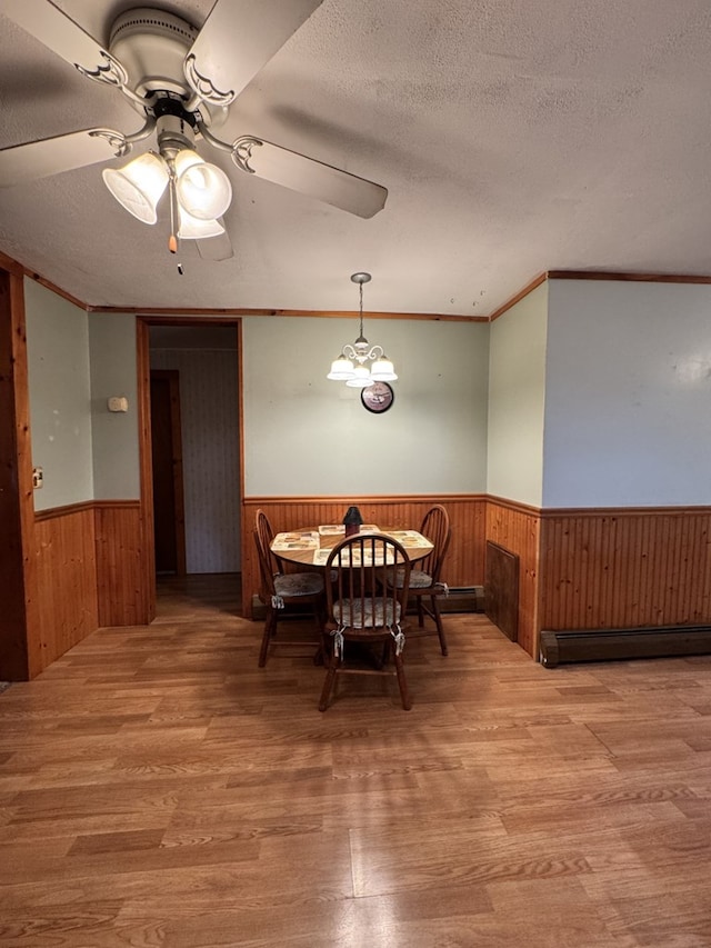 18 Memorial Dr, Duke Center, PA 16729 - dining space featuring a wainscoted wall, a baseboard radiator, wood finished floors, a textured ceiling, and ornamental molding