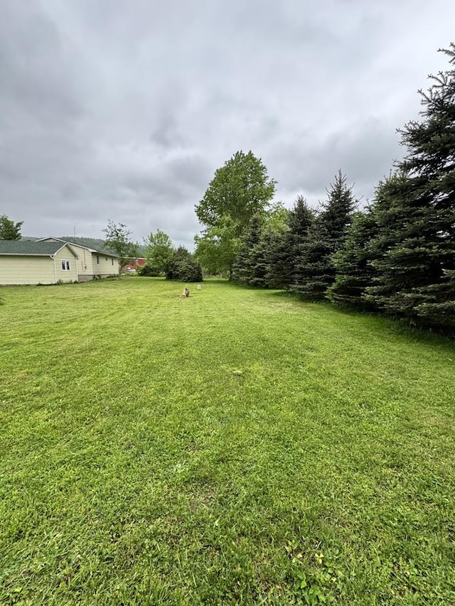 109 Main St, Roulette, PA 16746 - view of grassy yard