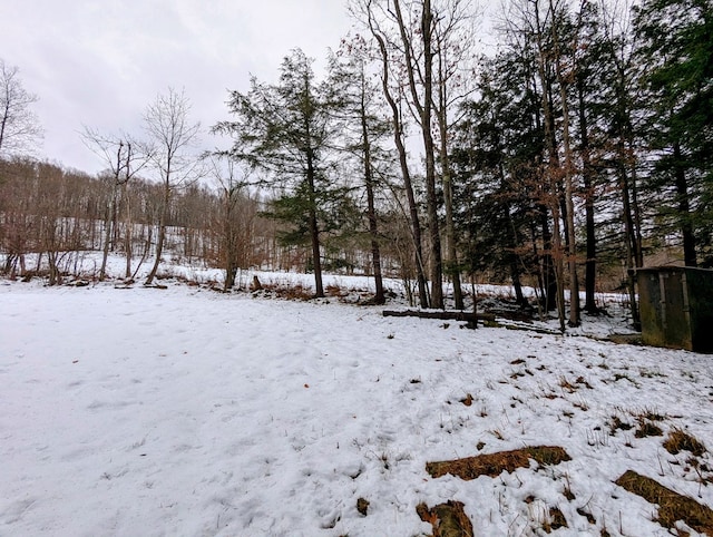 view of yard covered in snow