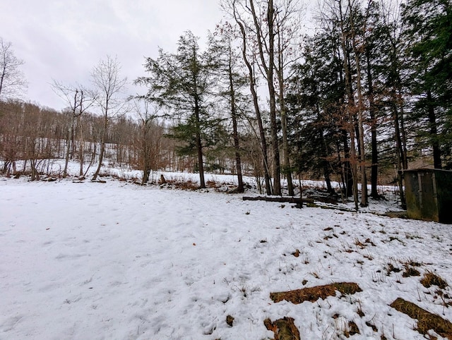 2004 Fallbrook Rd, Troy, PA 16947 - view of yard layered in snow