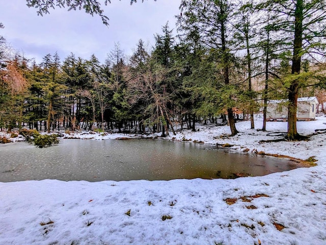 yard layered in snow with a water view