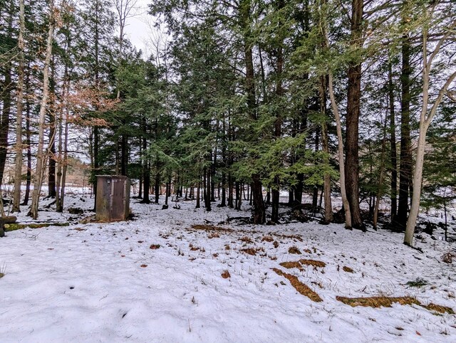 2004 Fallbrook Rd, Troy, PA 16947 - view of snowy yard
