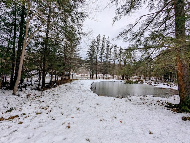 view of snowy yard