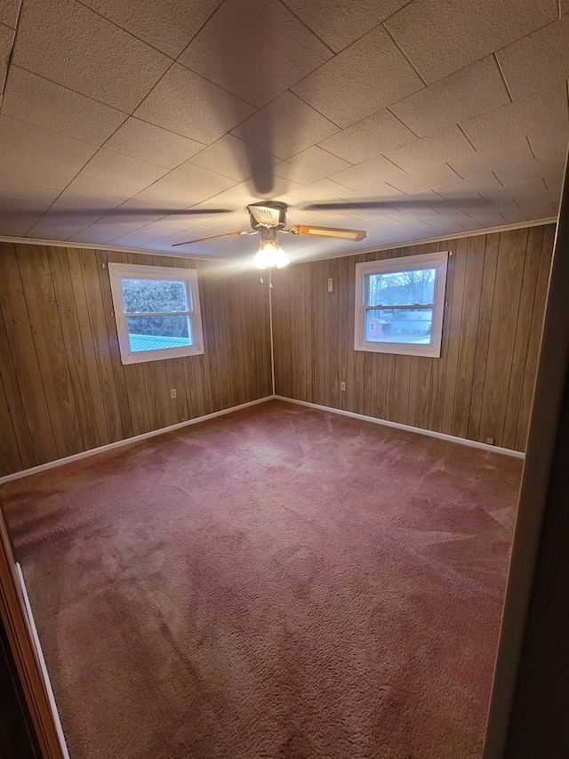 carpeted spare room featuring wooden walls and a healthy amount of sunlight