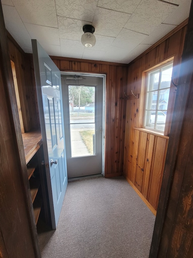 doorway to outside featuring wood walls, light carpet, and a wealth of natural light