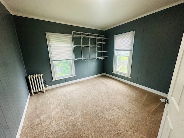 228 Willow St, Athens, PA 18810 - spare room featuring crown molding, carpet, baseboards, radiator, and wood walls