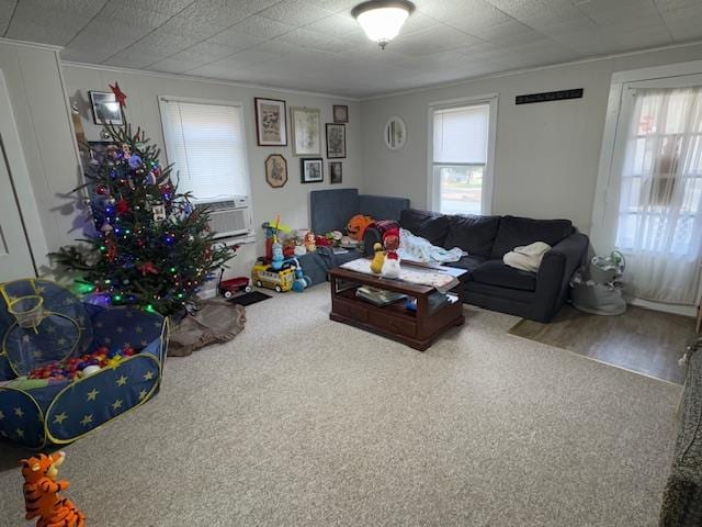 84 Greens Hill Rd, Ralston, PA 17763 - photo 9