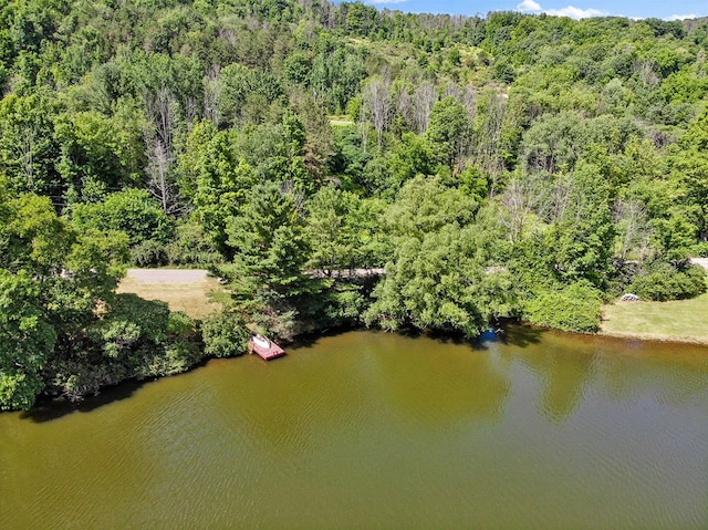 280 Sanitarium Hill Rd, Columbia Cross Roads, PA 16914 - photo 37