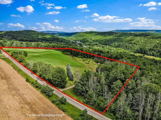 drone / aerial view featuring a mountain view