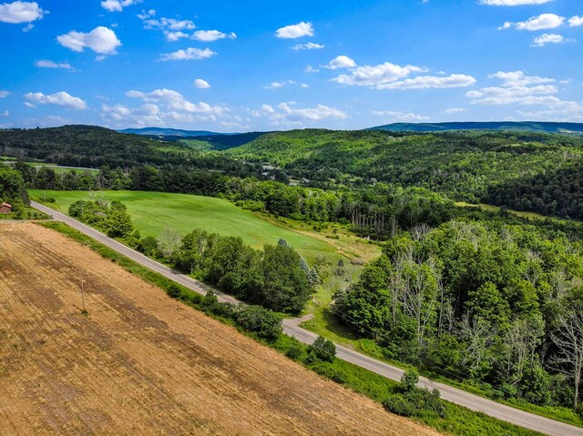 280 Sanitarium Hill Rd, Columbia Cross Roads, PA 16914 - photo 35