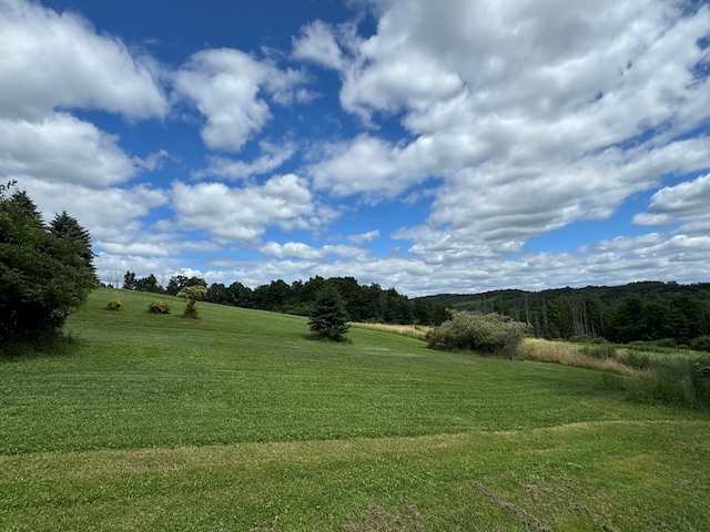 280 Sanitarium Hill Rd, Columbia Cross Roads, PA 16914 - photo 34