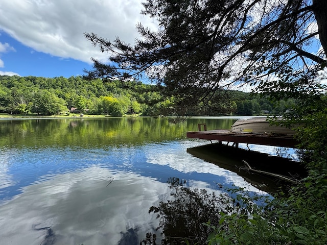 view of dock with a water view