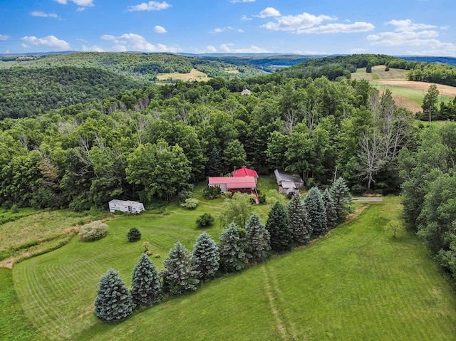 bird's eye view featuring a rural view