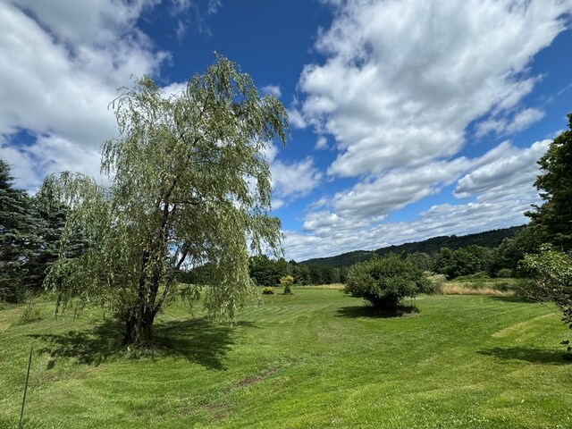280 Sanitarium Hill Rd, Columbia Cross Roads, PA 16914 - photo 27