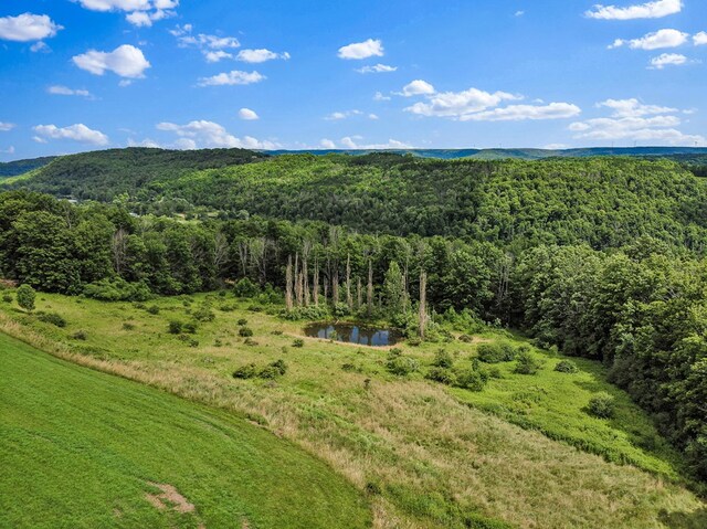 280 Sanitarium Hill Rd, Columbia Cross Roads, PA 16914 - photo 33