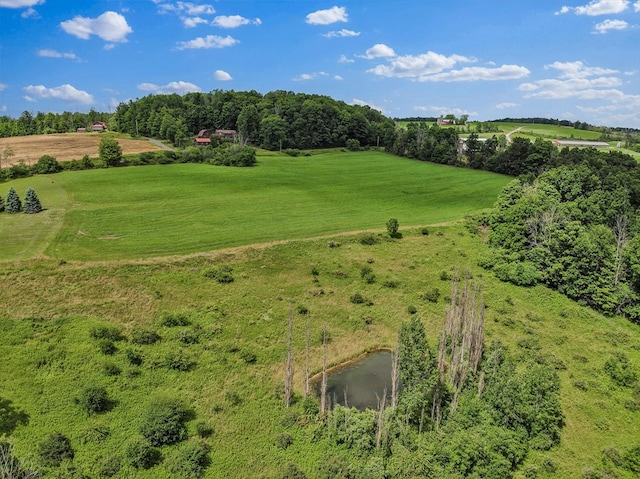 aerial view with a rural view and a water view