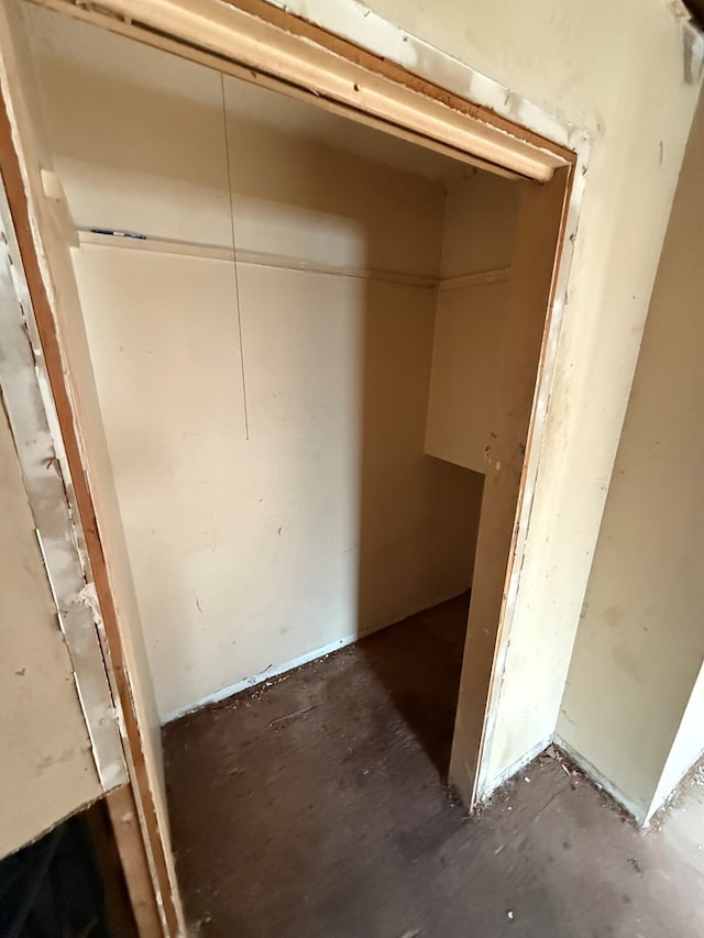 321/2 Pine St, Waverly, NY 14892 - view of closet