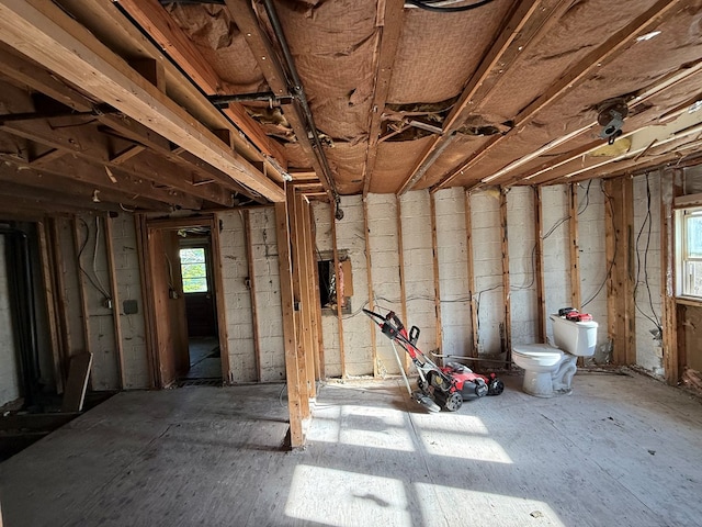 321/2 Pine St, Waverly, NY 14892 - view of below grade area