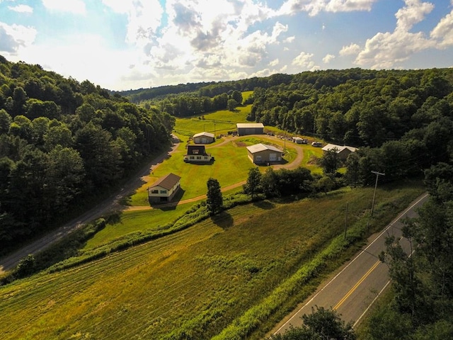 40 W Hebron Rd, Coudersport, PA 16915 - aerial view of sparsely populated area with a forest