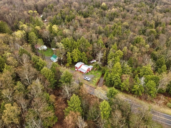 12240 Rte 154, Shunk, PA 17768 - photo 25