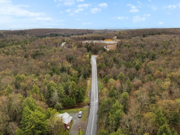 12240 Rte 154, Shunk, PA 17768 - photo 27