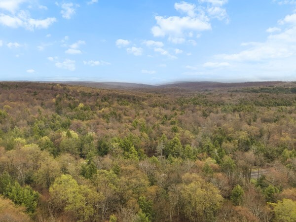 12240 Rte 154, Shunk, PA 17768 - photo 23