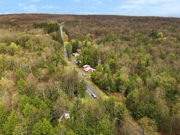 12240 Rte 154, Shunk, PA 17768 - photo 28
