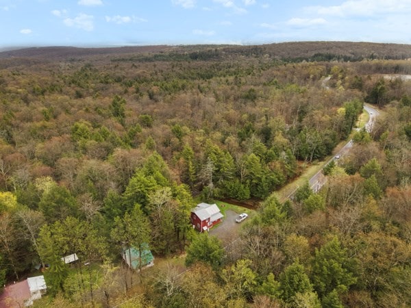 12240 Rte 154, Shunk, PA 17768 - photo 26
