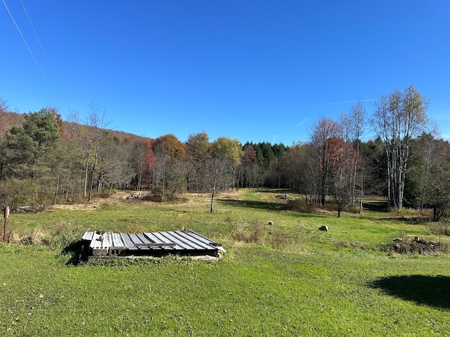 view of yard featuring a rural view