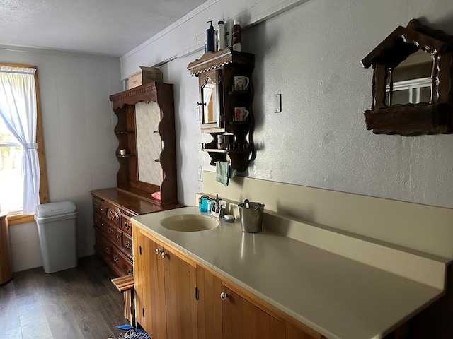 interior space with dark hardwood / wood-style flooring and sink