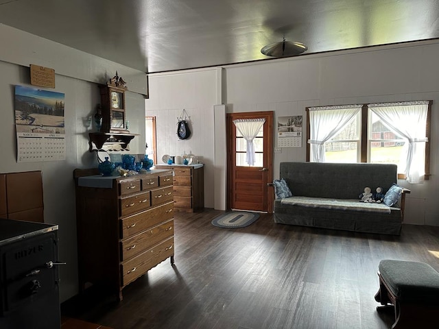 living room with dark wood-type flooring