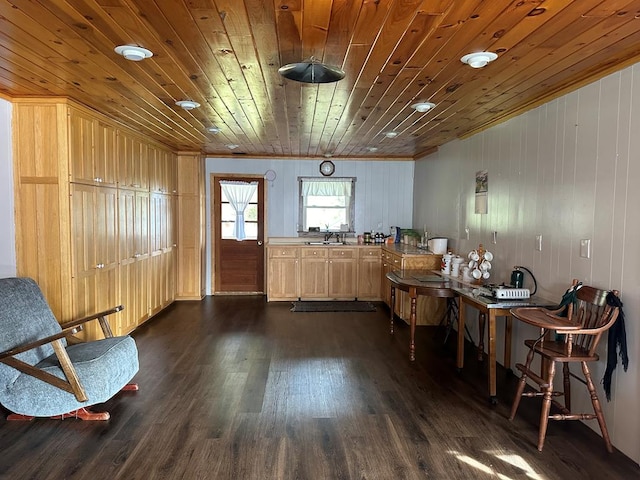 interior space featuring wood walls, dark wood-type flooring, sink, ornamental molding, and wood ceiling