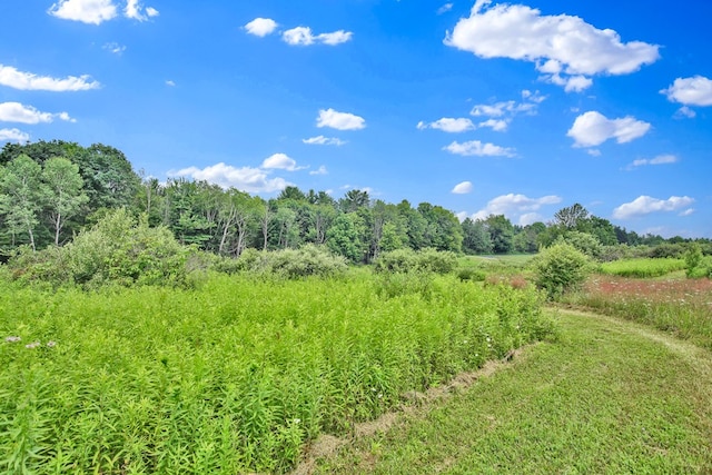 LOT88 & Rd, Wellsboro, PA 16901 - photo 18