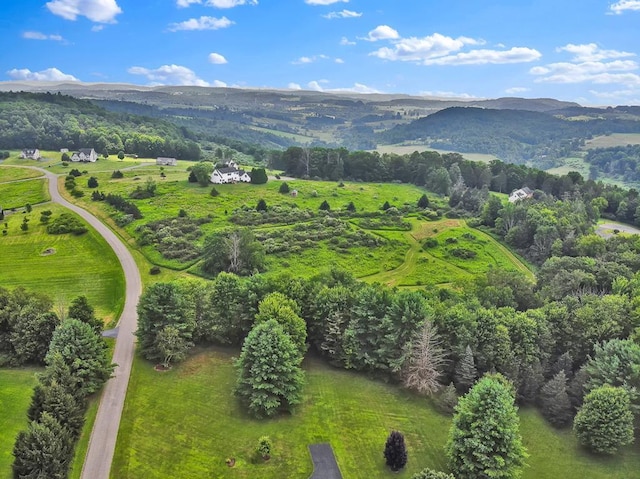 LOT88 & Rd, Wellsboro, PA 16901 - photo 2
