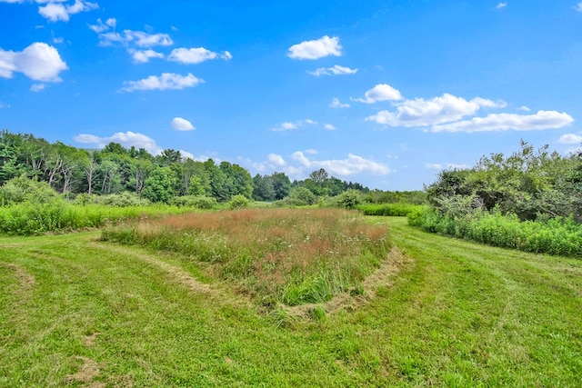 LOT88 & Rd, Wellsboro, PA 16901 - photo 17