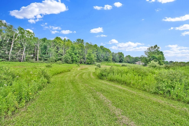 LOT88 & Rd, Wellsboro, PA 16901 - photo 26