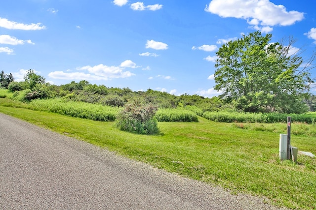 LOT88 & Rd, Wellsboro, PA 16901 - photo 9