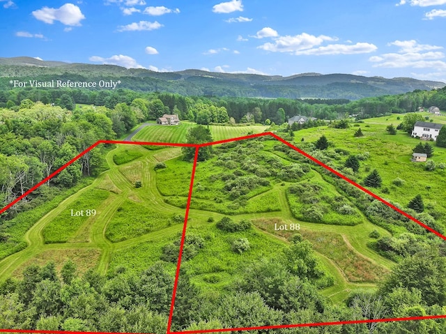 LOT88 & Rd, Wellsboro, PA 16901 - photo 4